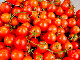 Tomatoes